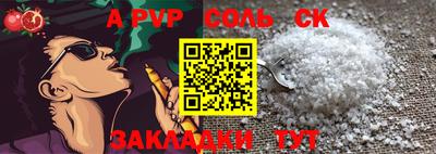 бошки Кингисепп