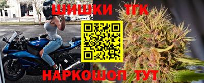 бошки Кингисепп