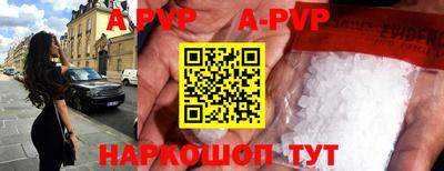 бошки Кингисепп